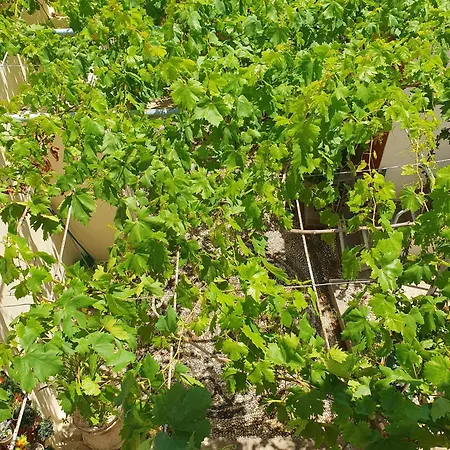 Tatil Evi Yiannis Sokaki House *