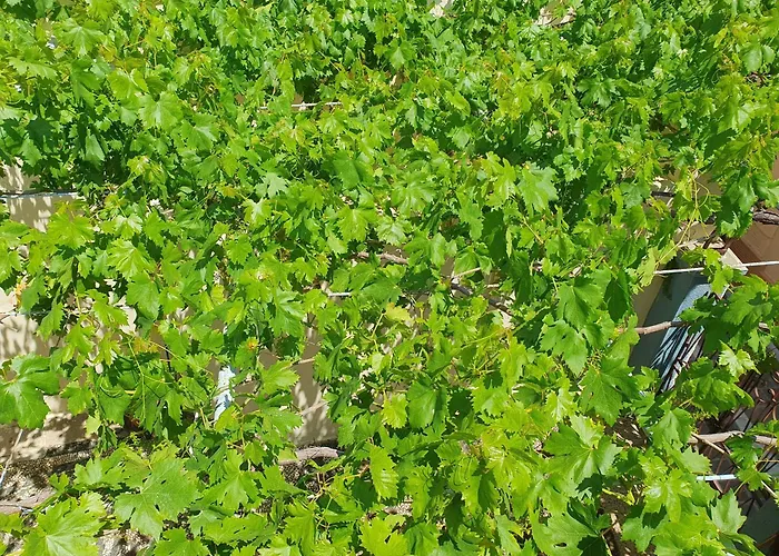 Holiday home Yiannis Sokaki House *