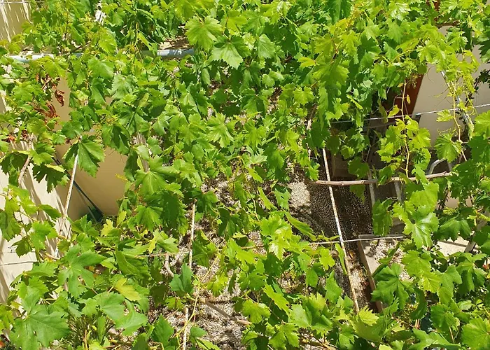 Holiday home Yiannis Sokaki House *